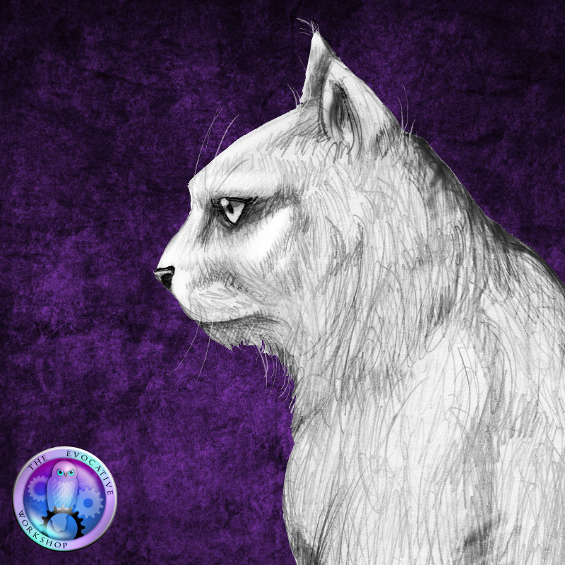 Concept   Sketch_Kot