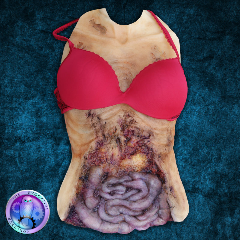 Make up   Sculpture Silicone Cadaver Chest